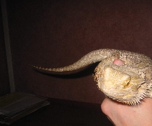 early pic of my baby