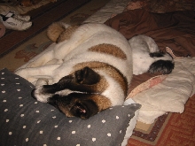 Little and Large