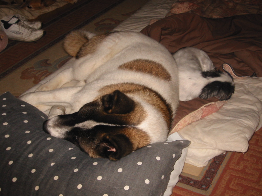 Little and Large