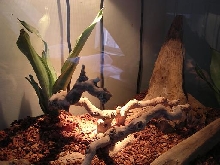 Right Side of Enclosure