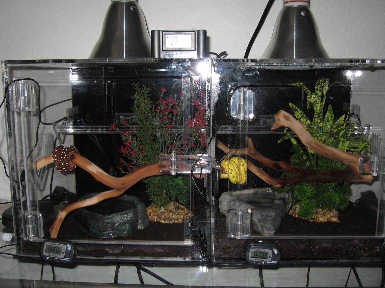 yaca and mof's enclosure