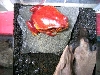 sweet tomato