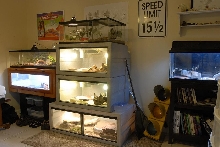 setup2