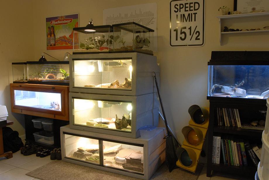 setup2