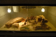 uro setup