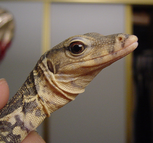baby water monitor