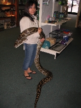 Lea and 12ft burmese