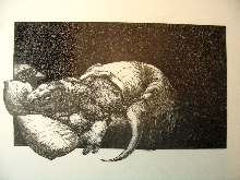 Sleeping Monitor
