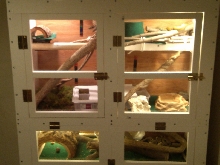 snake house