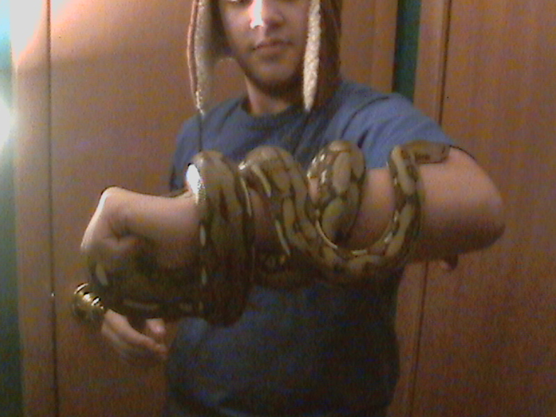 This is Aphrodite on my Arm