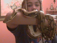 me and my male tiger
