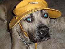 XIMO HAT