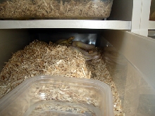 love is in the air-2