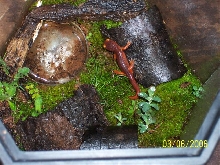little guy's new home