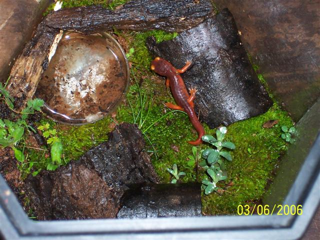 little guy's new home
