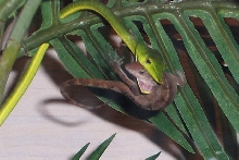 No. 2