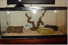 My BP's tank
