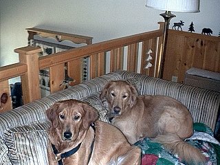 Is timeout over yet?