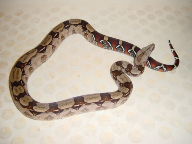 Once once more photo of my baby