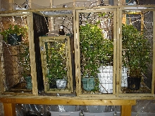 cage