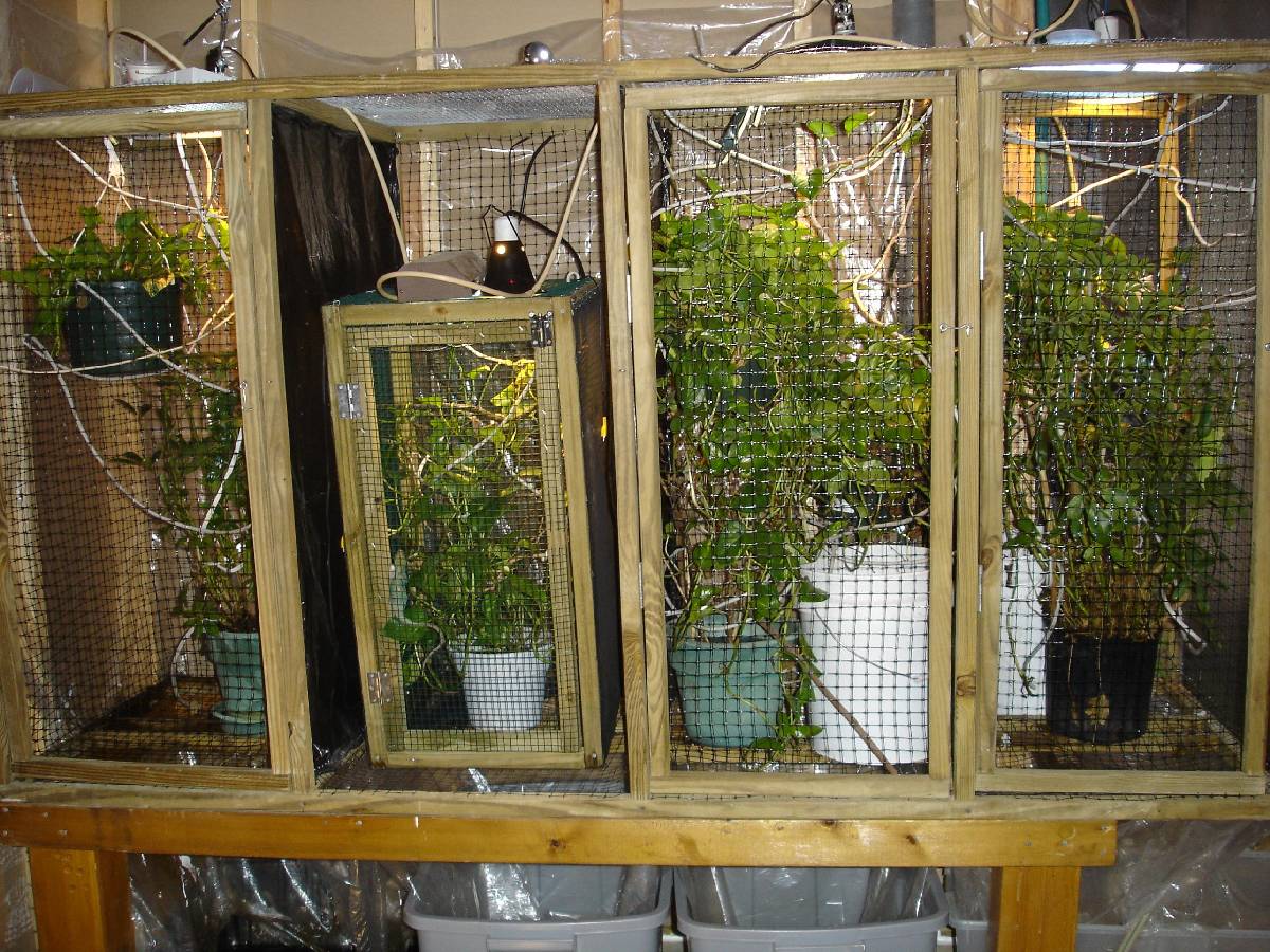 cage