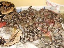 Mom and babies pic3