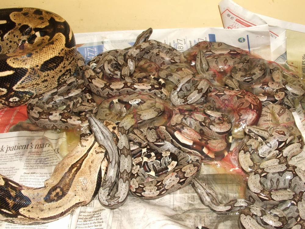Mom and babies pic3