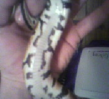 my baby