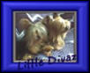Little Divaz