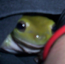 hiding