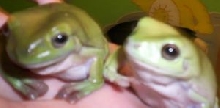 Oliver and Henry