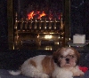 Daisy-May