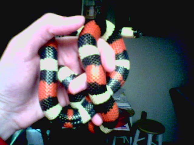 Adobe (Female Pueblan)