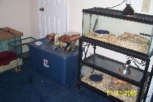 our 3rd bedroom
