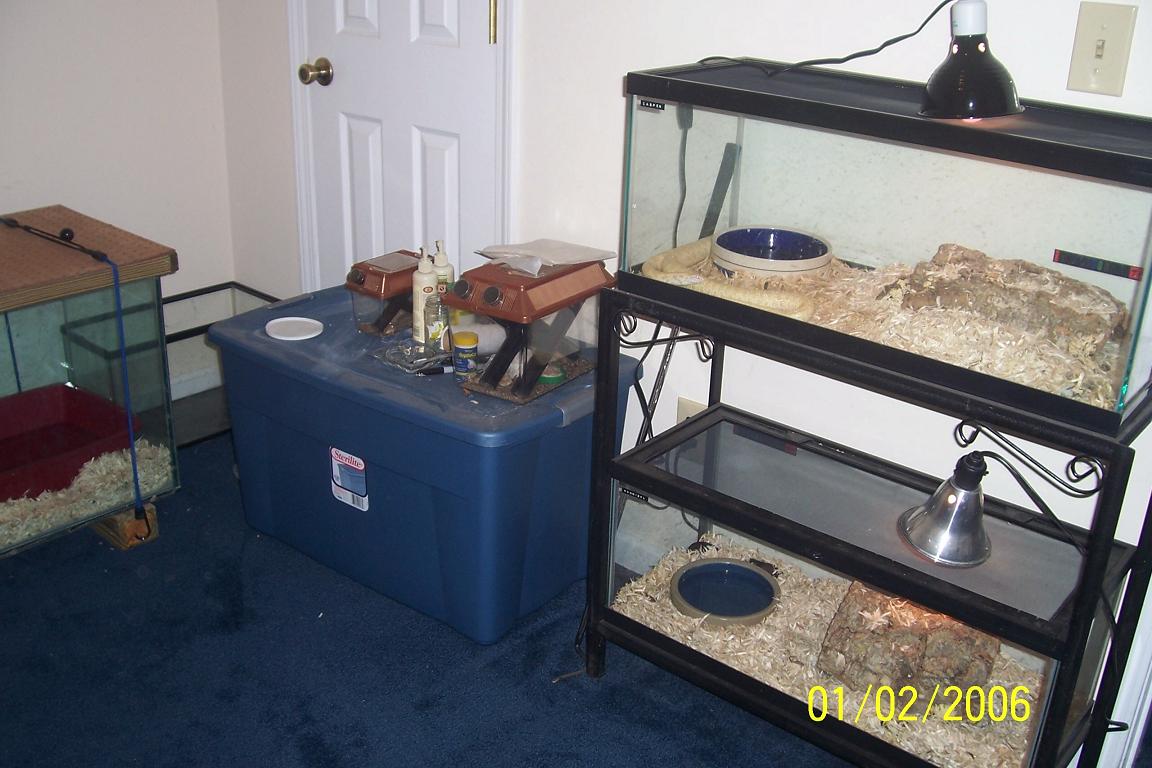 our 3rd bedroom