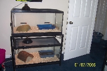 still 2nd bedroom