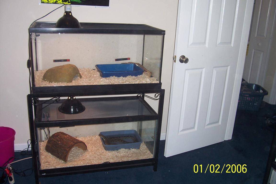 still 2nd bedroom