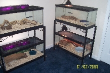 Our 2nd bedroom