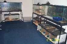 our dining room