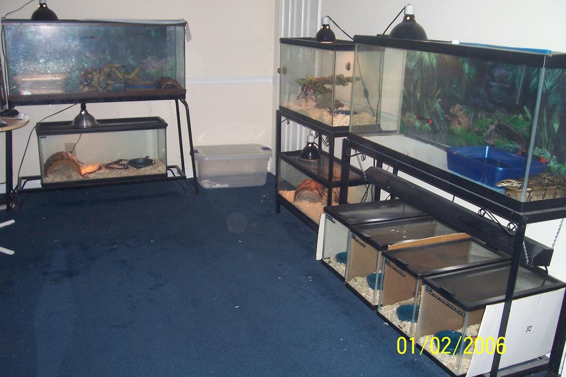 our dining room