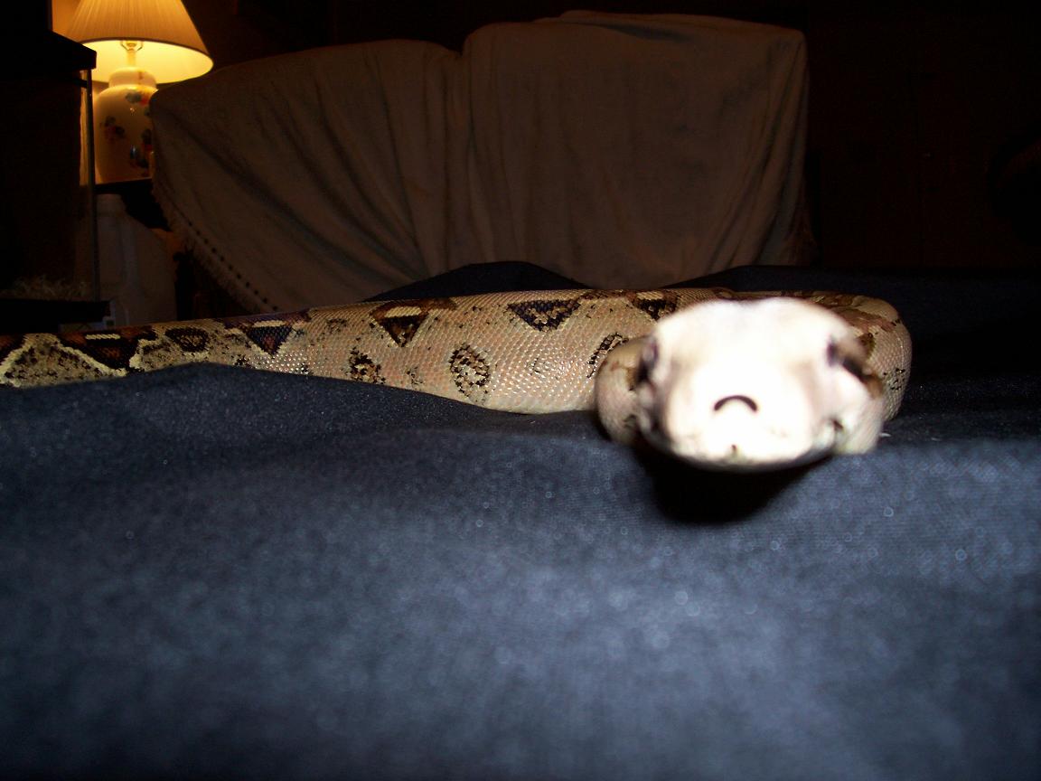 EXTREME CLOSEUP