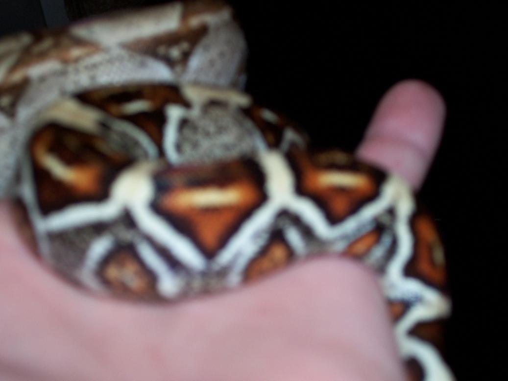 Kinda blury but washed you can see