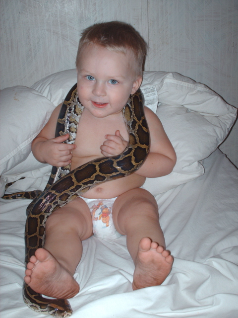 aden n princess