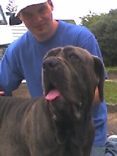 Stella @ 8 mos