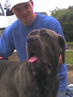 Stella @ 8 mos