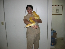 Buttons and I