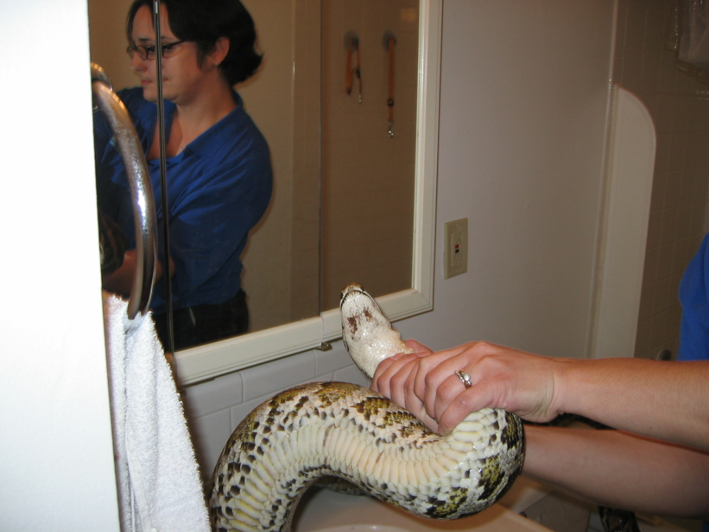 septic infection: being treated