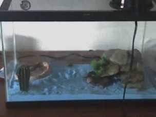 Home for my fat-tail