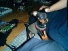 Bailey
