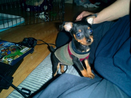Bailey